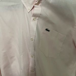 Men Lacoste for men dress shirts color light blue and pink